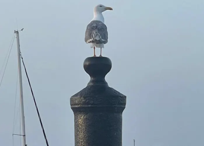 Patio Da Foz - Tres Accueillant Centre-ville Figueira da Foz