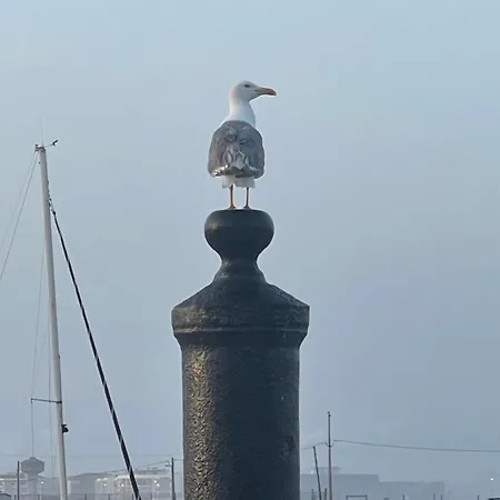 Patio Da Foz - Tres Accueillant Centre-ville Figueira da Foz